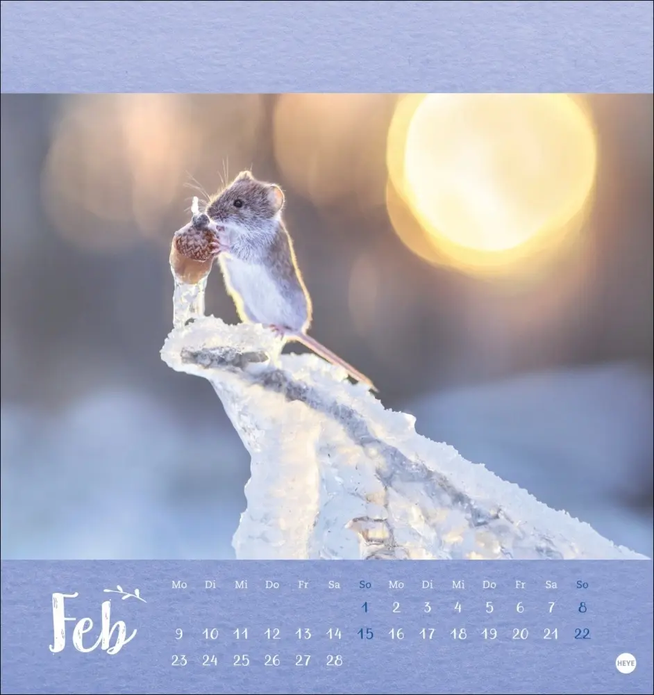 Bild: 9783756411689 | Vadim Trunov: Märchenhaftes Waldleben Postkartenkalender 2026 | Trunov