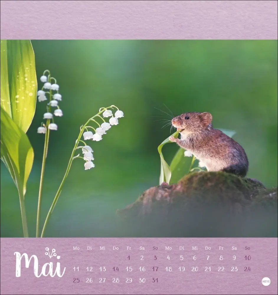 Bild: 9783756411689 | Vadim Trunov: Märchenhaftes Waldleben Postkartenkalender 2026 | Trunov