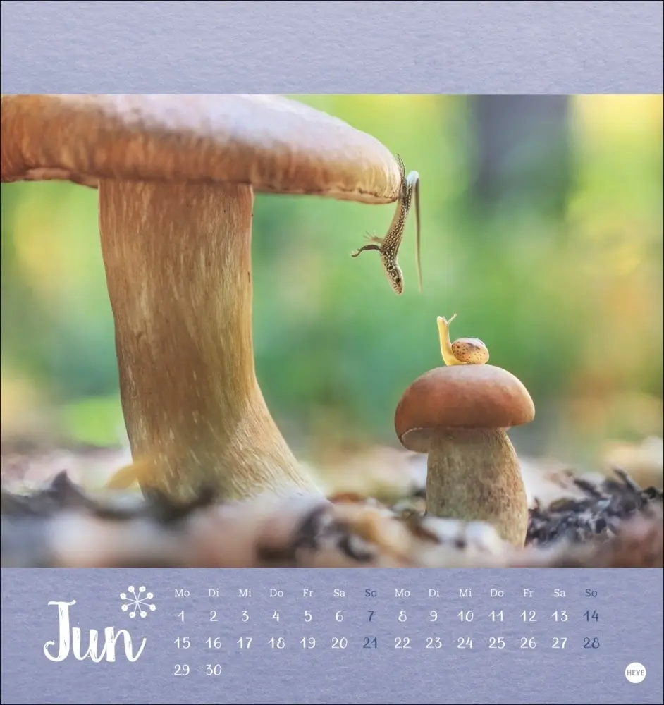 Bild: 9783756411689 | Vadim Trunov: Märchenhaftes Waldleben Postkartenkalender 2026 | Trunov