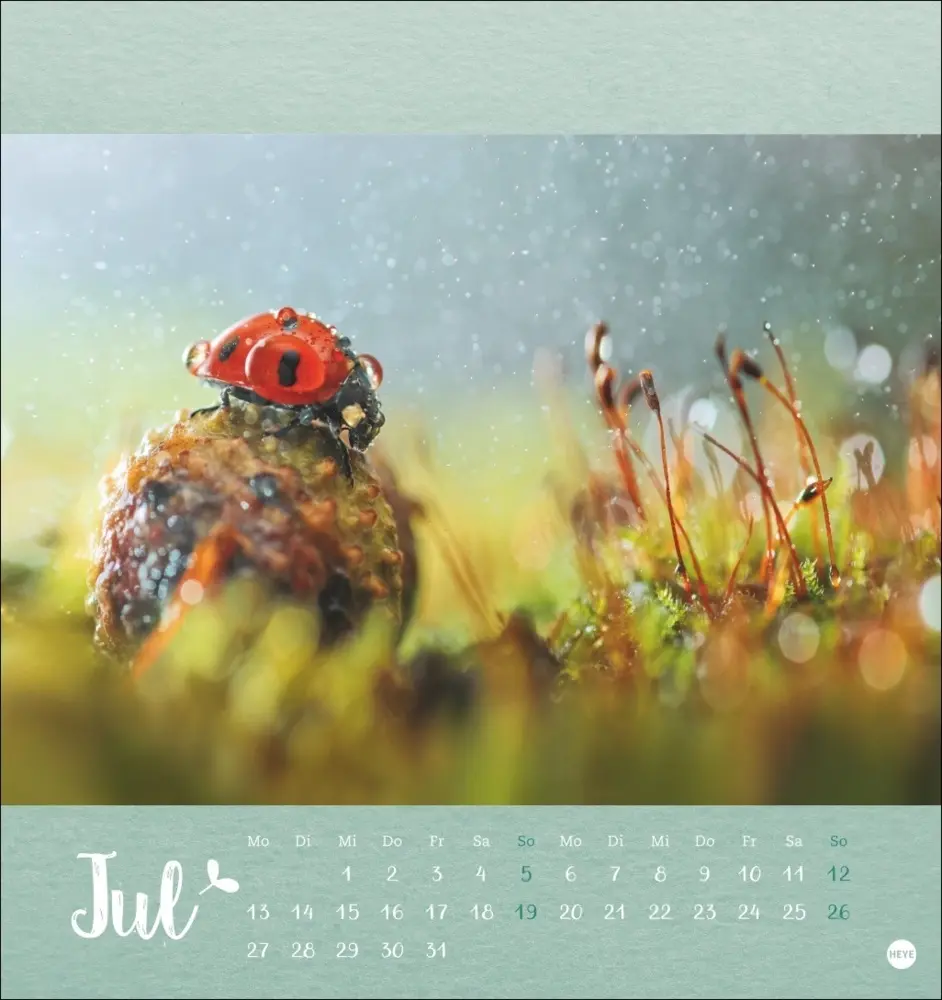 Bild: 9783756411689 | Vadim Trunov: Märchenhaftes Waldleben Postkartenkalender 2026 | Trunov