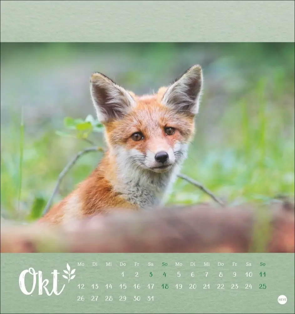Bild: 9783756411689 | Vadim Trunov: Märchenhaftes Waldleben Postkartenkalender 2026 | Trunov