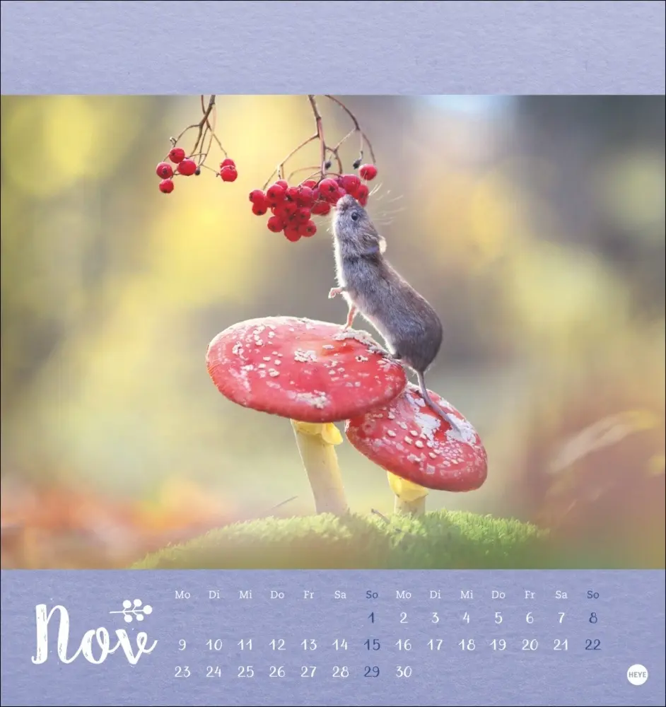 Bild: 9783756411689 | Vadim Trunov: Märchenhaftes Waldleben Postkartenkalender 2026 | Trunov