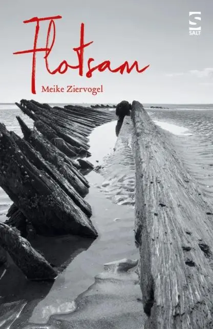 Cover: 9781784631789 | Flotsam | Meike Ziervogel | Taschenbuch | Kartoniert / Broschiert