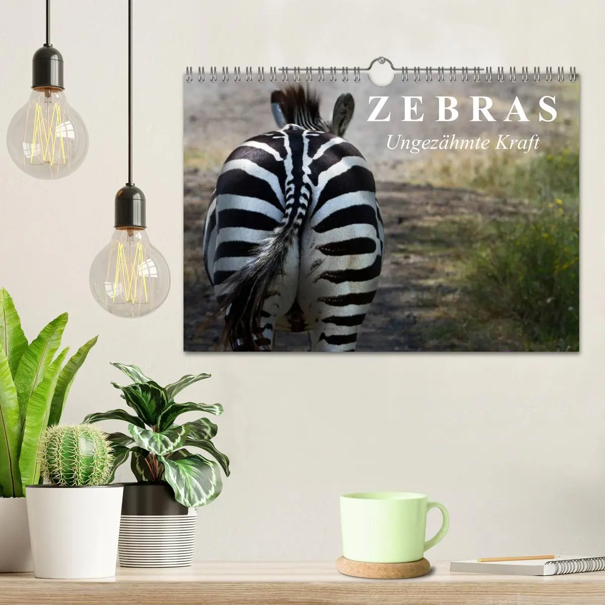Bild: 9783516131789 | Zebras - Ungezähmte Kraft (Wandkalender 2026 DIN A4 quer), CALVENDO...