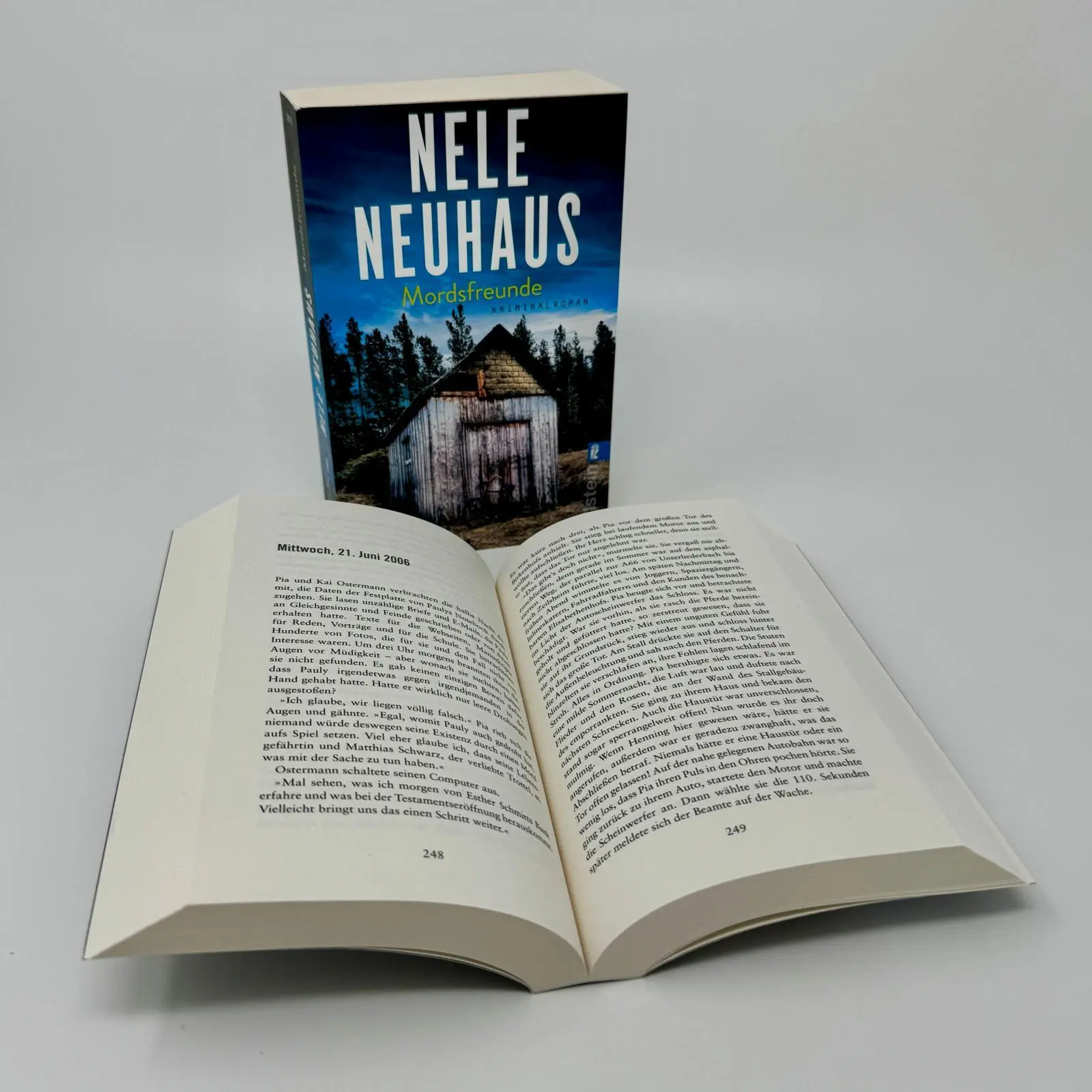 Bild: 9783548291789 | Mordsfreunde | Nele Neuhaus | Taschenbuch | 496 S. | Deutsch | 2019