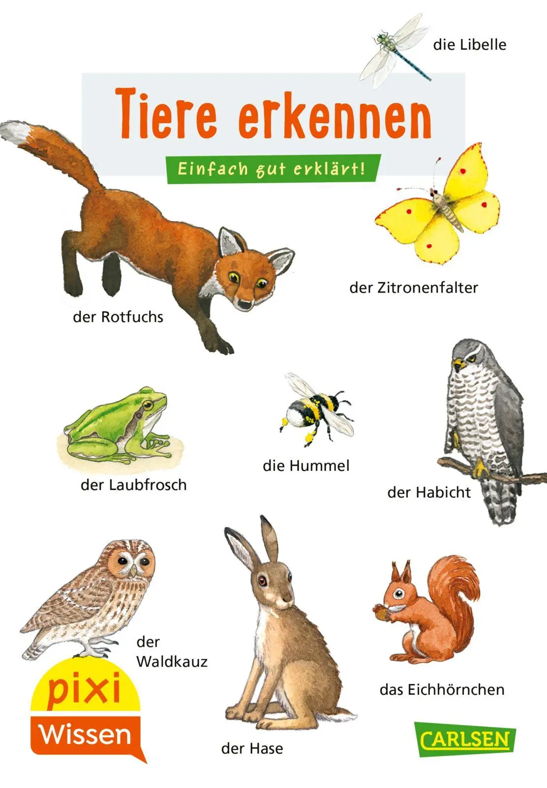 Cover: 9783551231789 | Pixi Wissen 30: VE 5 Tiere erkennen | Hanna Sörensen | Broschüre