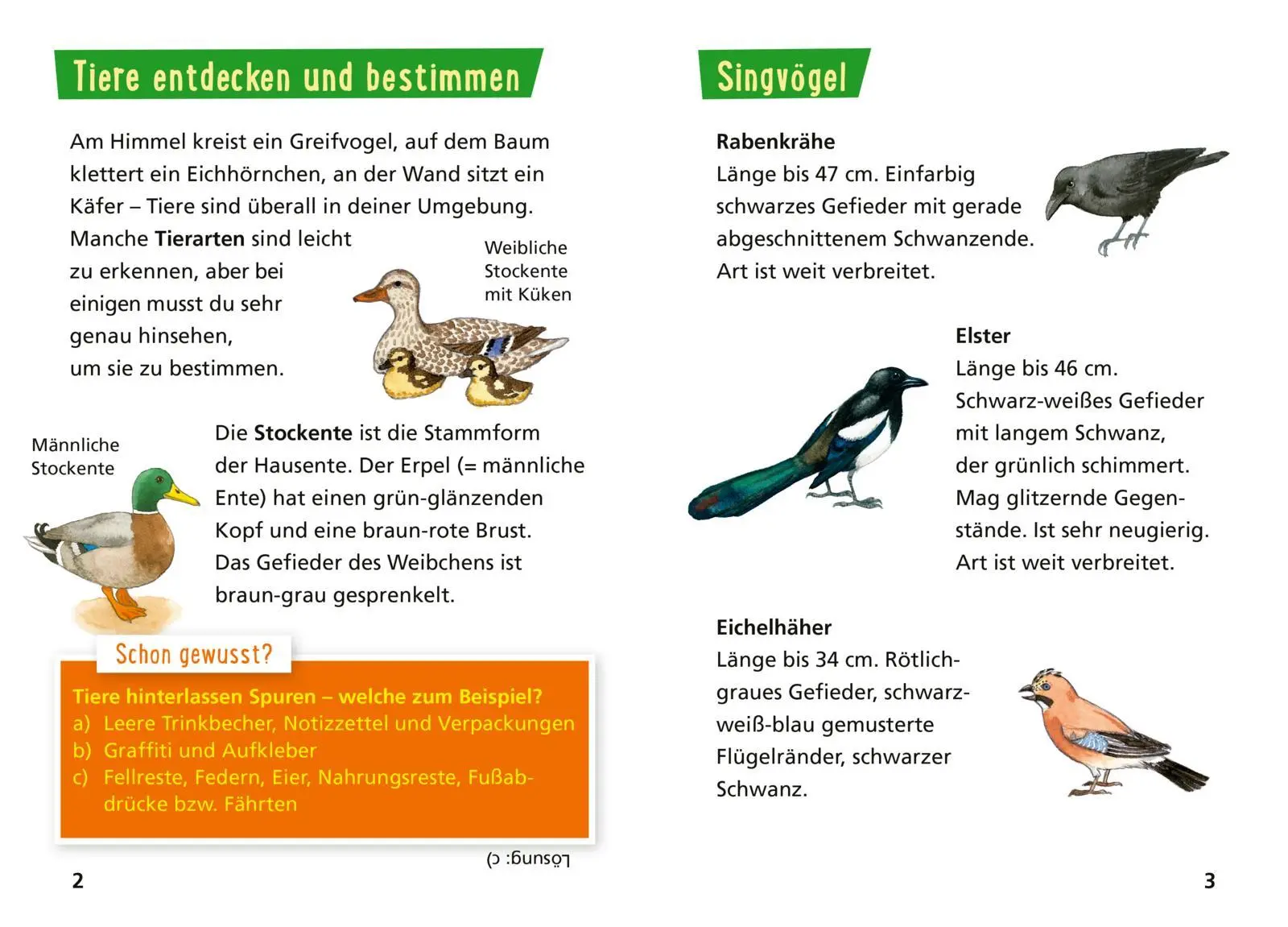 Bild: 9783551231789 | Pixi Wissen 30: VE 5 Tiere erkennen | Hanna Sörensen | Broschüre