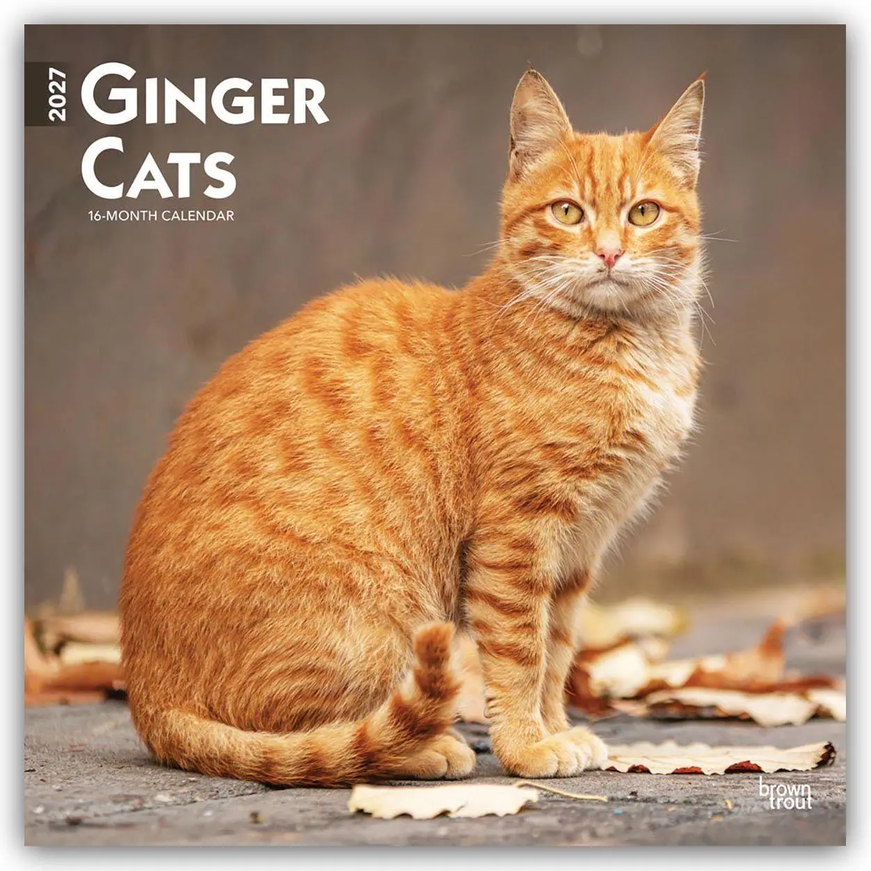 Cover: 9798330711789 | Ginger Cats - Gingerkatzen - Rote Katzen 2027 - 16-Monatskalender
