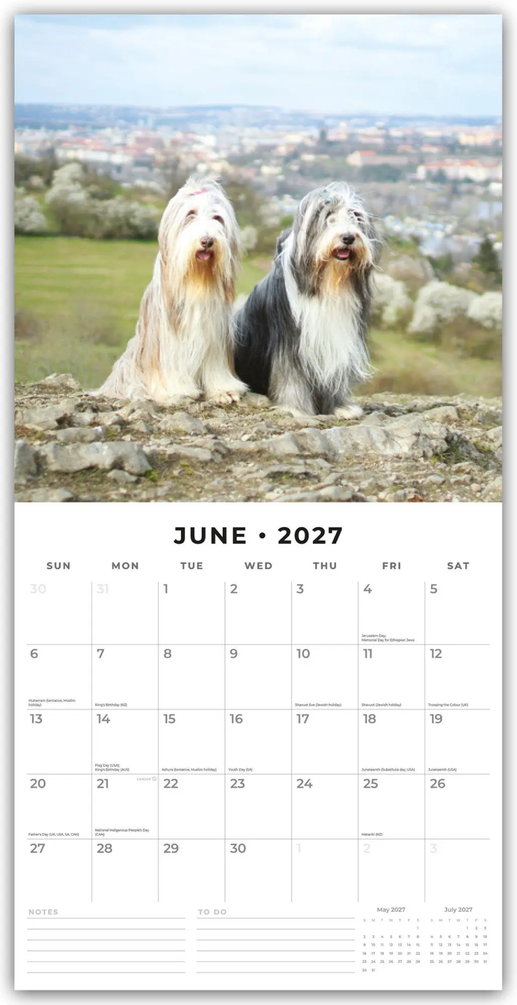 Bild: 9781837011889 | Bearded Collies - Bearded Collie 2027 - 16-Monatskalender | Robin Red