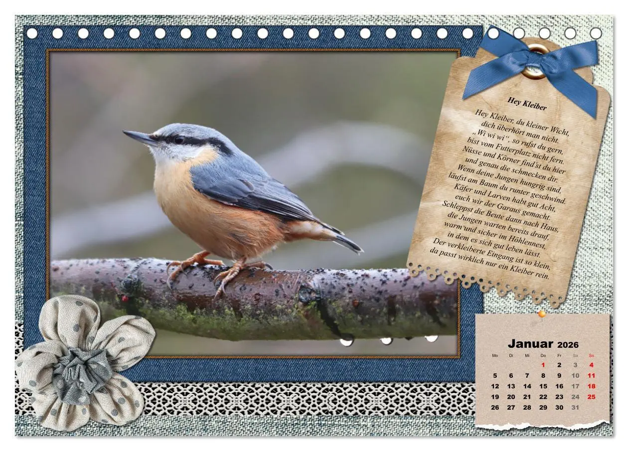 Bild: 9783457651889 | Der poetische Vogelkalender (Tischkalender 2026 DIN A5 quer),...