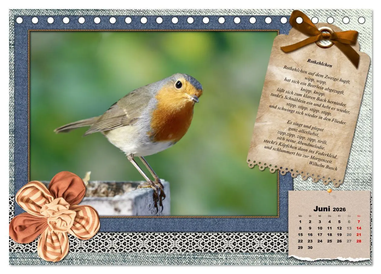 Bild: 9783457651889 | Der poetische Vogelkalender (Tischkalender 2026 DIN A5 quer),...