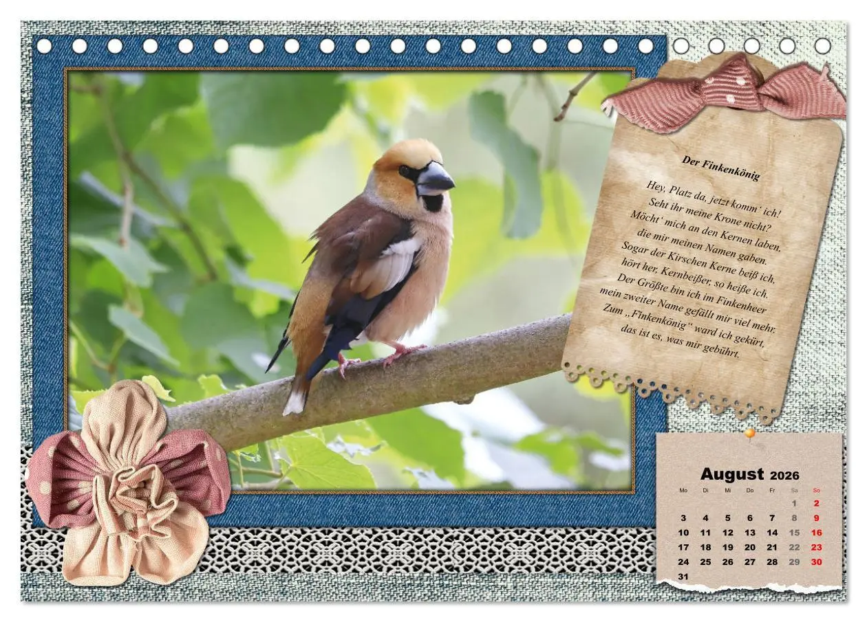 Bild: 9783457651889 | Der poetische Vogelkalender (Tischkalender 2026 DIN A5 quer),...