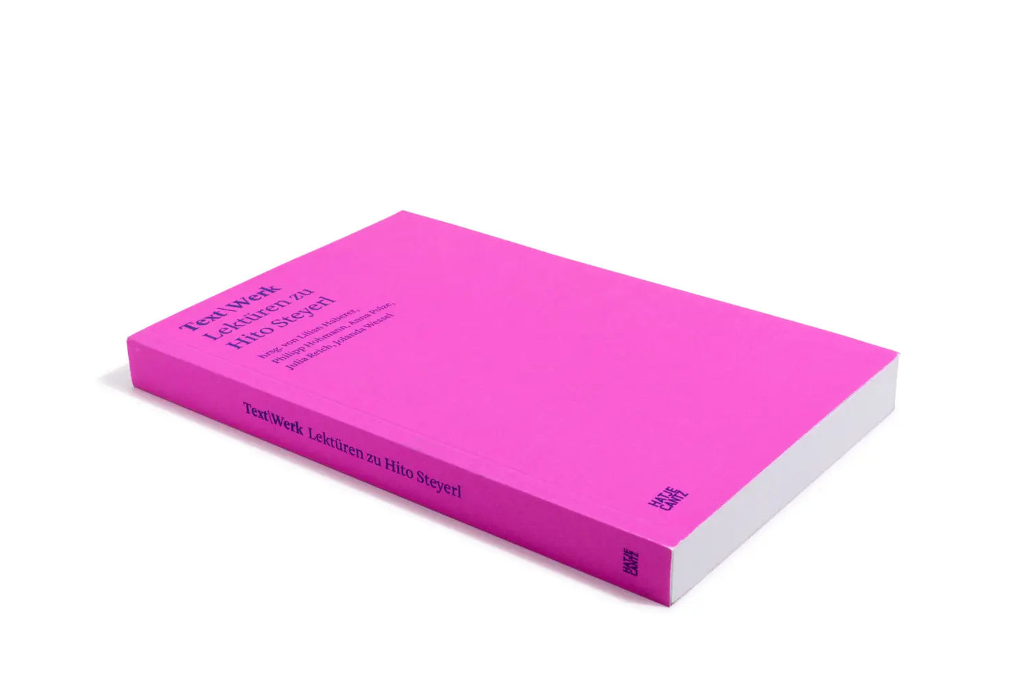 Bild: 9783775751889 | TextWerk | Lektüren zu Hito Steyerl | Philipp Hohmann (u. a.) | Buch