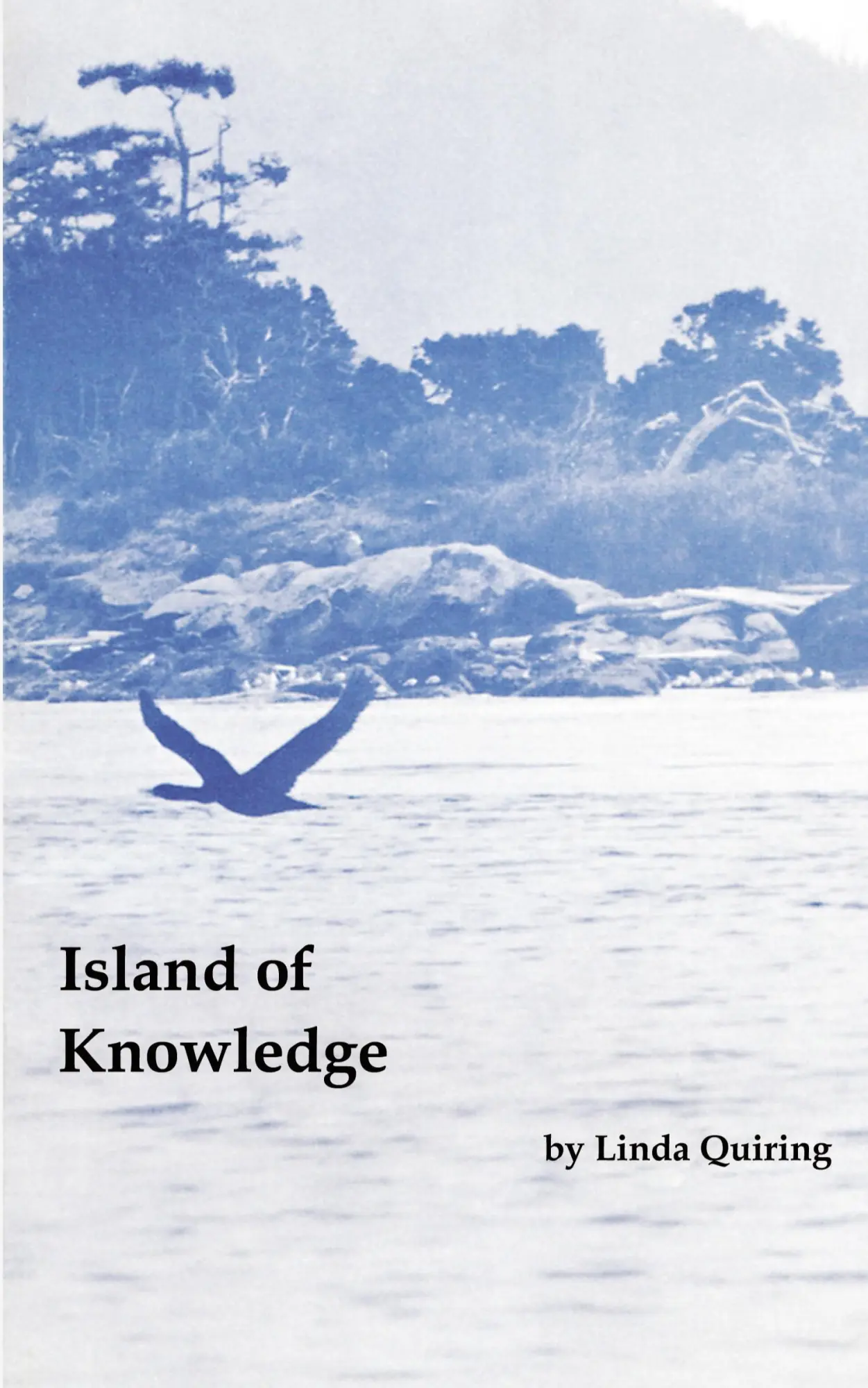 Cover: 9781771431989 | Island of Knowledge | Linda Quiring | Taschenbuch | Englisch | 2015