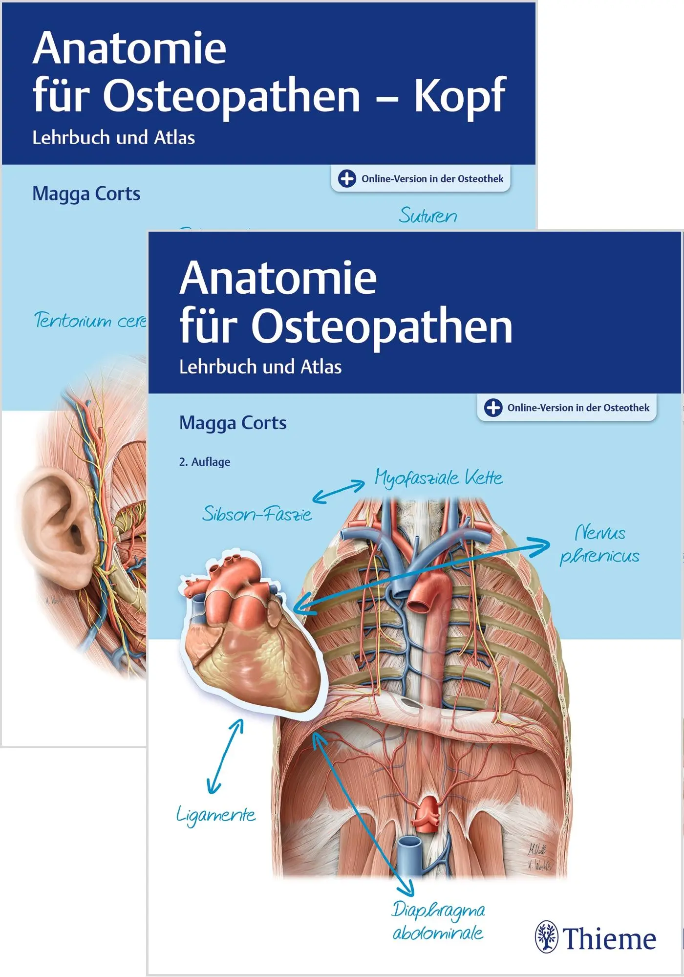 Cover: 9783132441989 | Set Anatomie für Osteopathen | Magga Corts | Bundle | 1 Buch | Deutsch
