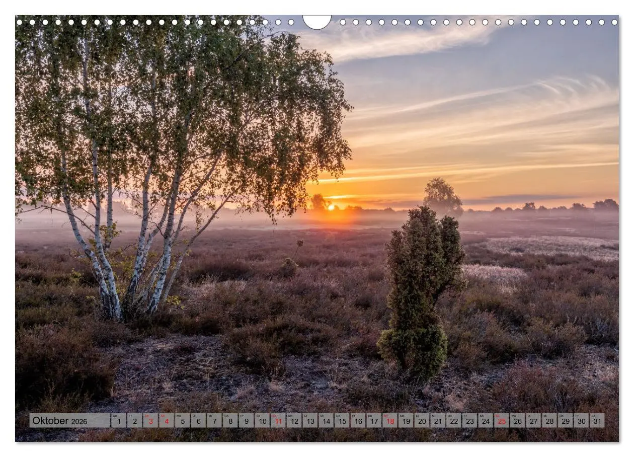 Bild: 9783457571989 | Erlebnis Wendland (Wandkalender 2026 DIN A3 quer), CALVENDO...