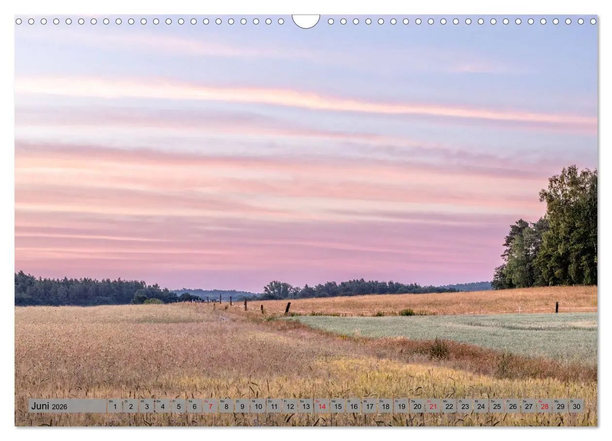 Bild: 9783457571989 | Erlebnis Wendland (Wandkalender 2026 DIN A3 quer), CALVENDO...