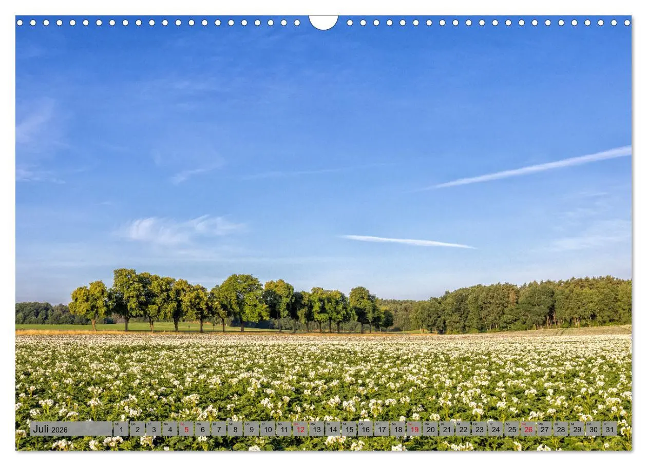 Bild: 9783457571989 | Erlebnis Wendland (Wandkalender 2026 DIN A3 quer), CALVENDO...