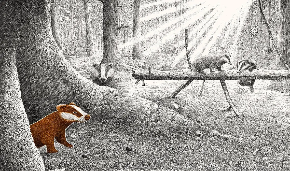 Bild: 9783772531989 | Versteckt im Wald | Philippe Jalbert | Buch | 32 S. | Deutsch | 2025