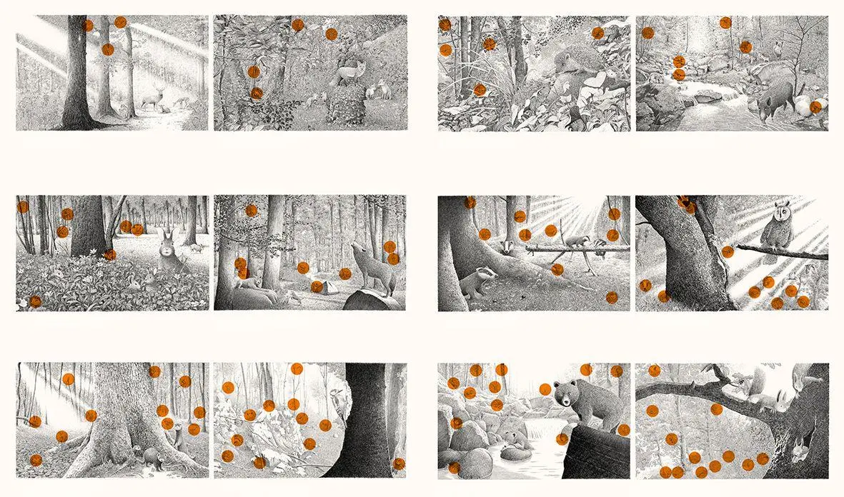 Bild: 9783772531989 | Versteckt im Wald | Philippe Jalbert | Buch | 32 S. | Deutsch | 2025