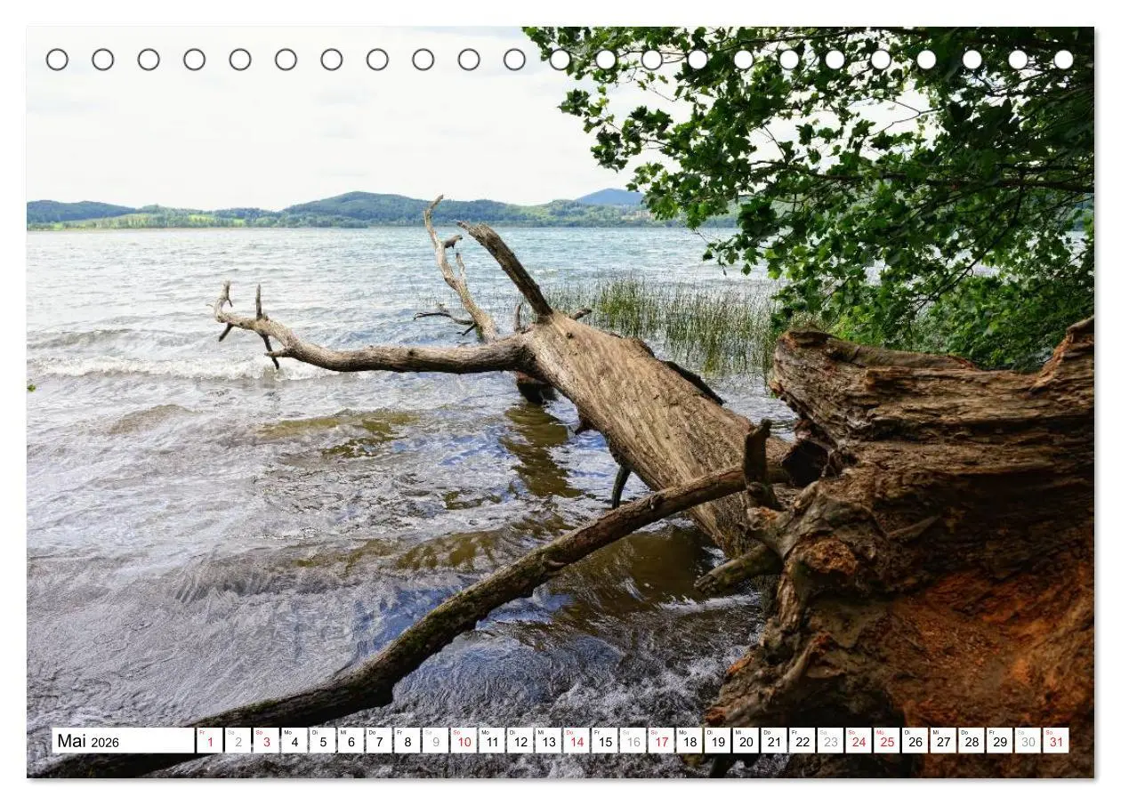 Bild: 9783457772089 | Naturlandschaft Laacher See (Tischkalender 2026 DIN A5 quer),...