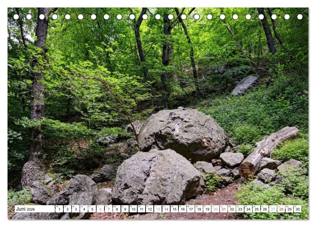 Bild: 9783457772089 | Naturlandschaft Laacher See (Tischkalender 2026 DIN A5 quer),...