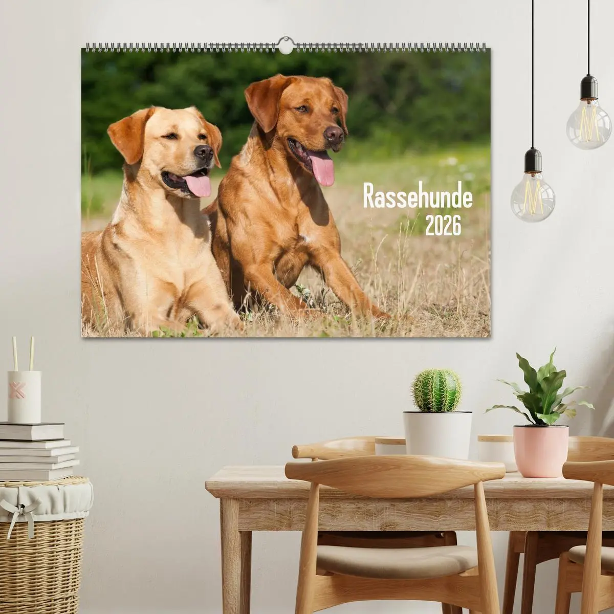 Bild: 9783516162189 | Rassehunde (Wandkalender 2026 DIN A2 quer), CALVENDO Monatskalender