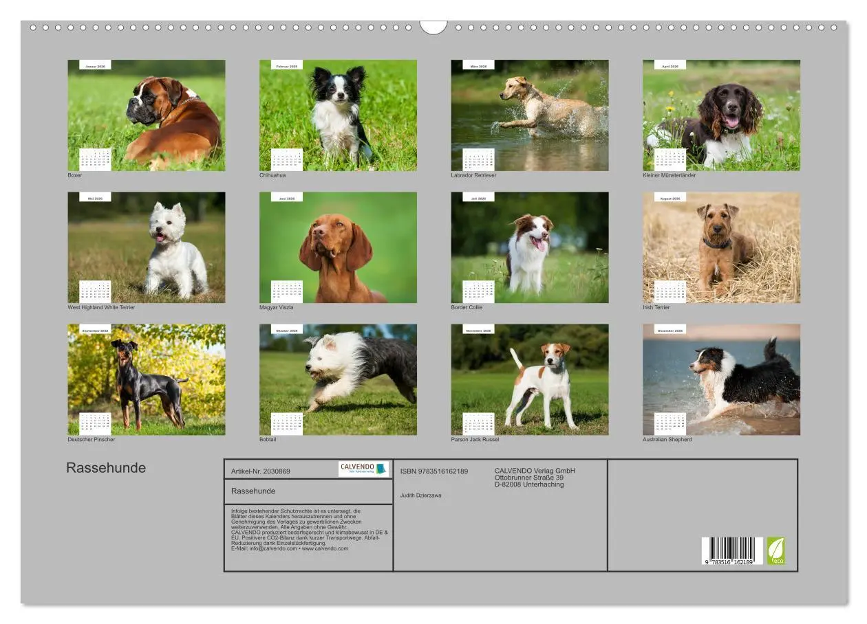 Bild: 9783516162189 | Rassehunde (Wandkalender 2026 DIN A2 quer), CALVENDO Monatskalender