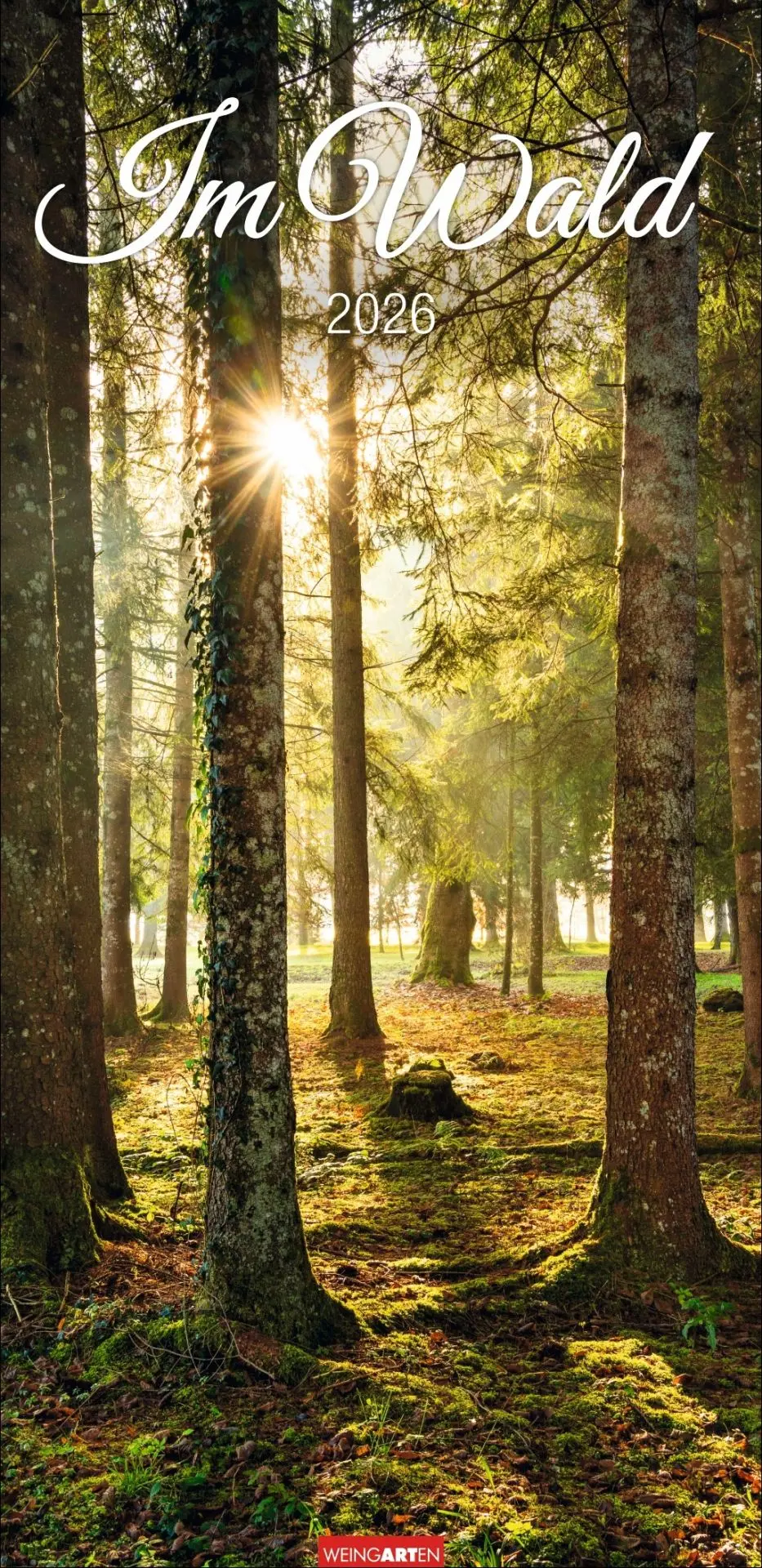 Cover: 9783839902189 | Im Wald Kalender 2026 | Kalender | Spiralbindung | 14 S. | Deutsch
