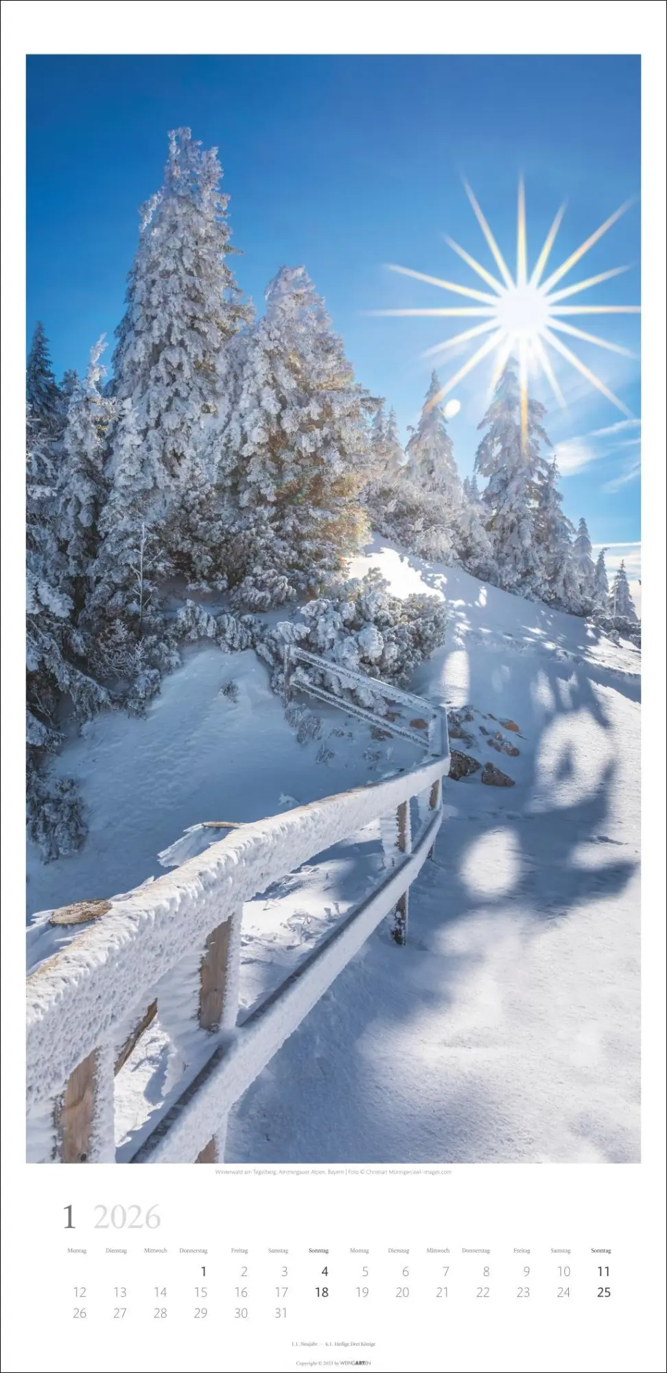 Bild: 9783839902189 | Im Wald Kalender 2026 | Kalender | Spiralbindung | 14 S. | Deutsch