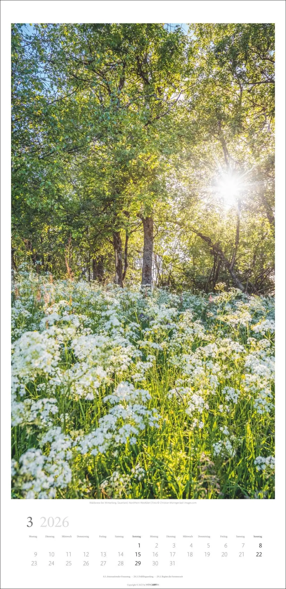 Bild: 9783839902189 | Im Wald Kalender 2026 | Kalender | Spiralbindung | 14 S. | Deutsch