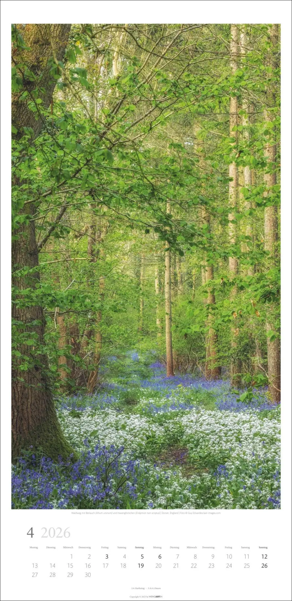 Bild: 9783839902189 | Im Wald Kalender 2026 | Kalender | Spiralbindung | 14 S. | Deutsch