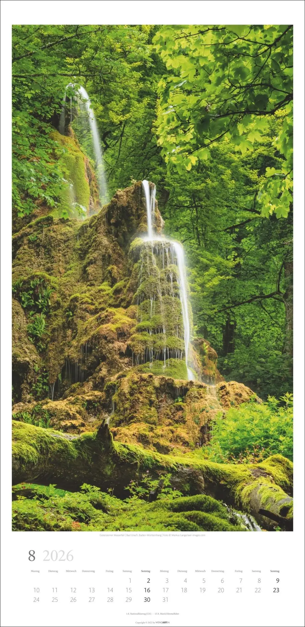 Bild: 9783839902189 | Im Wald Kalender 2026 | Kalender | Spiralbindung | 14 S. | Deutsch