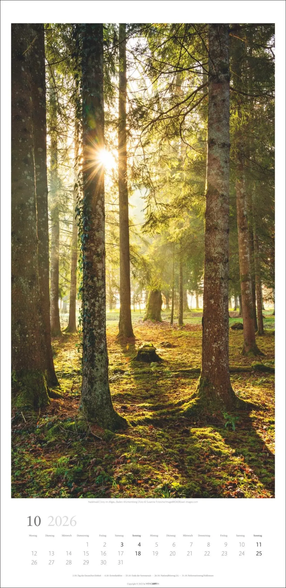 Bild: 9783839902189 | Im Wald Kalender 2026 | Kalender | Spiralbindung | 14 S. | Deutsch