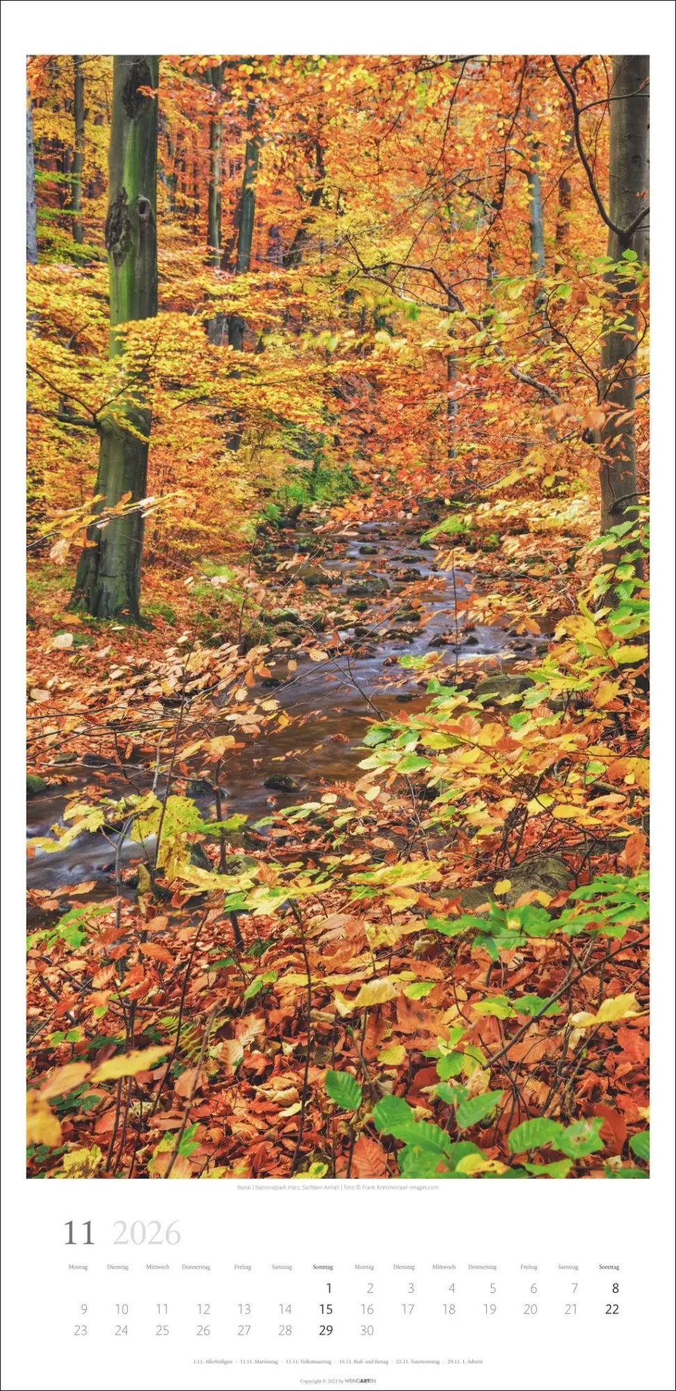Bild: 9783839902189 | Im Wald Kalender 2026 | Kalender | Spiralbindung | 14 S. | Deutsch