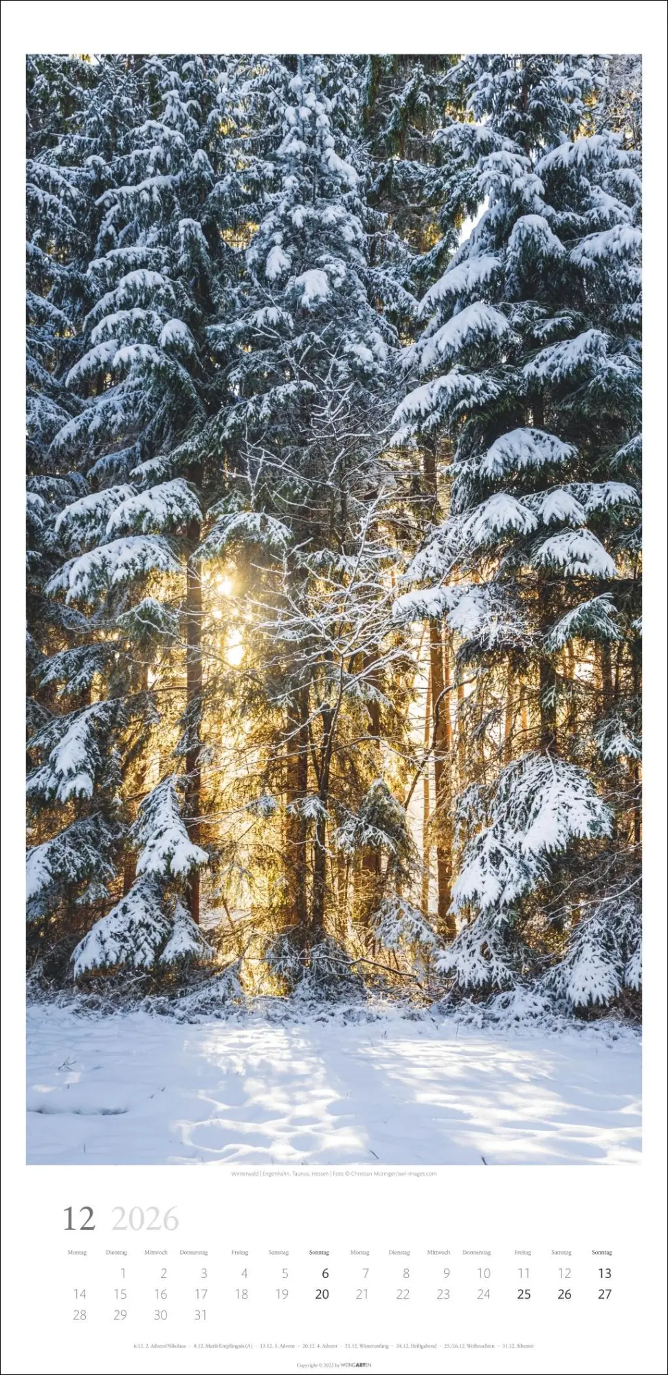Bild: 9783839902189 | Im Wald Kalender 2026 | Kalender | Spiralbindung | 14 S. | Deutsch