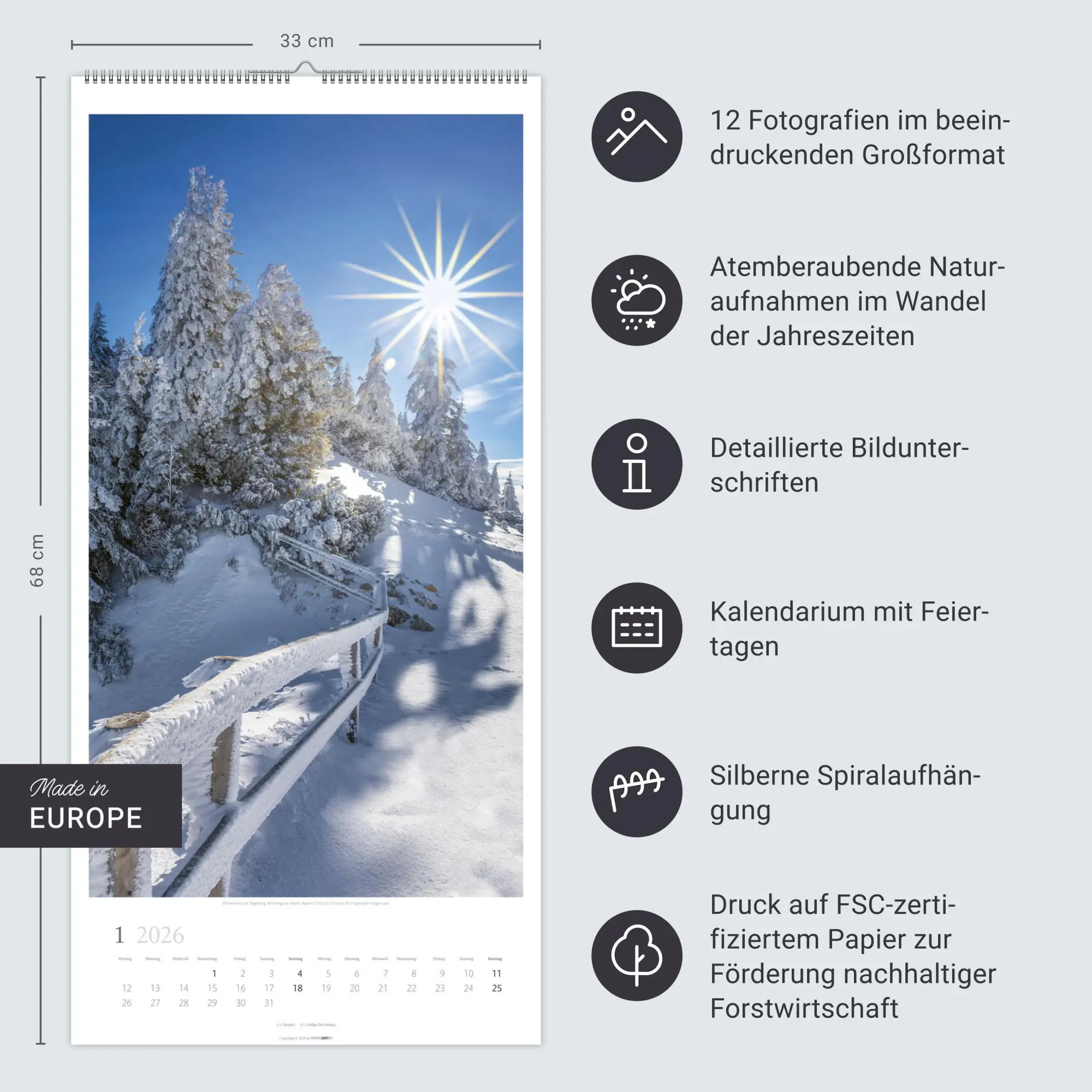 Bild: 9783839902189 | Im Wald Kalender 2026 | Kalender | Spiralbindung | 14 S. | Deutsch