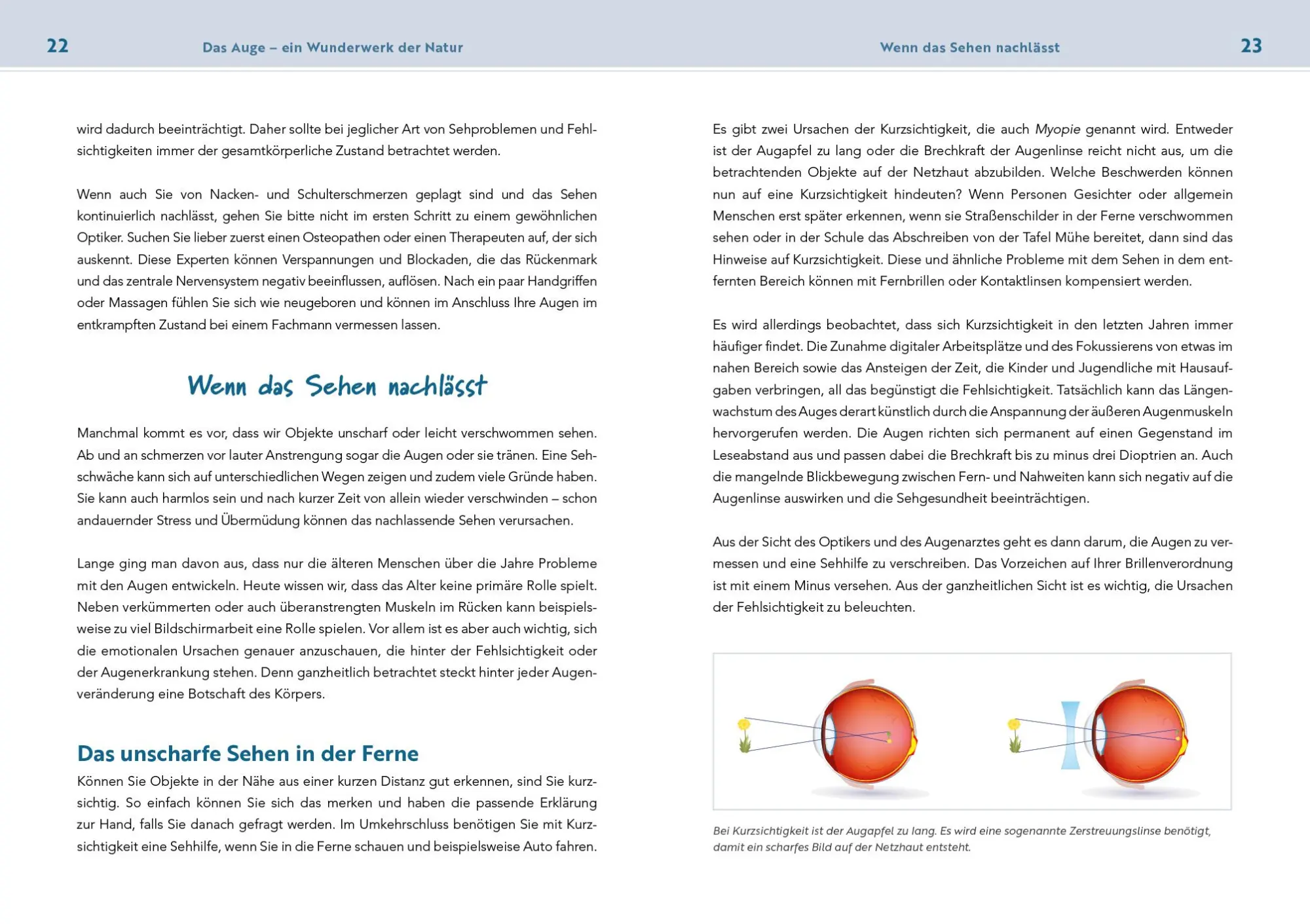 Bild: 9783742322289 | Neustart für die Augen | Agnes Blessing | Taschenbuch | Neustart
