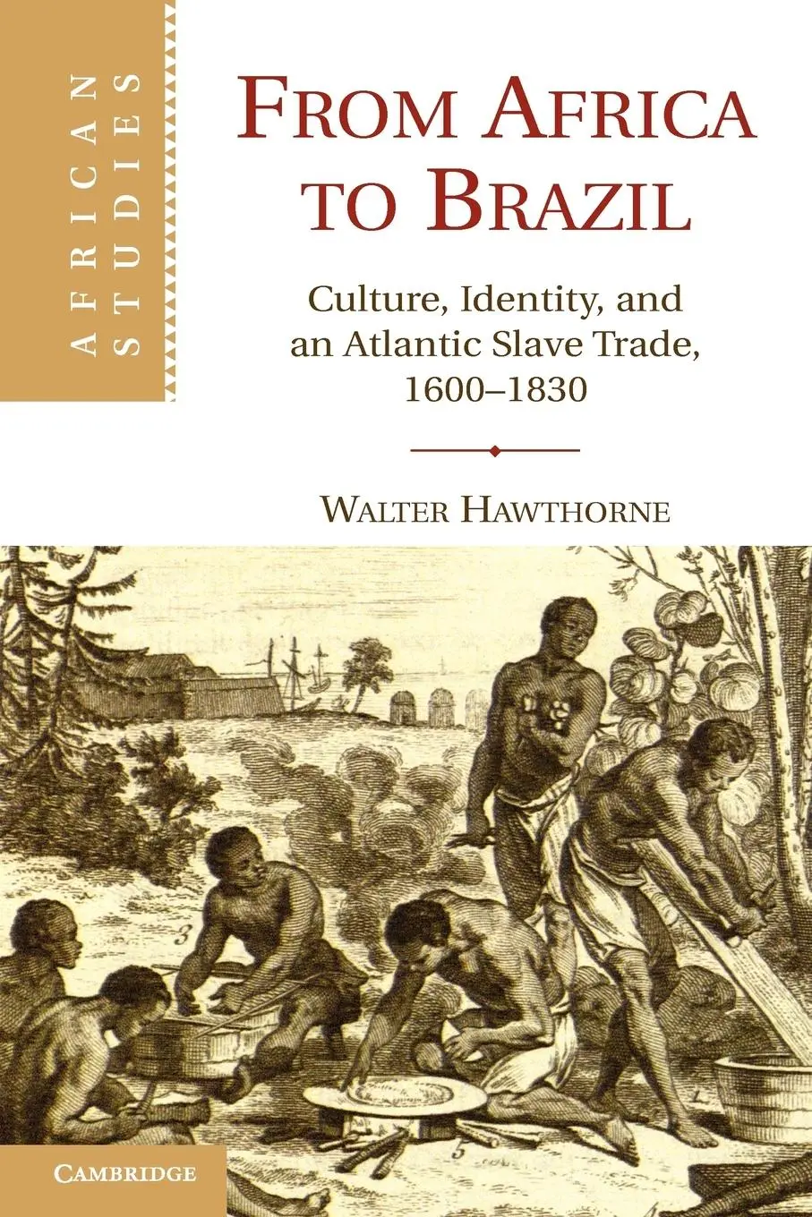 Cover: 9780521152389 | From Africa to Brazil | Walter Hawthorne | Taschenbuch | Englisch
