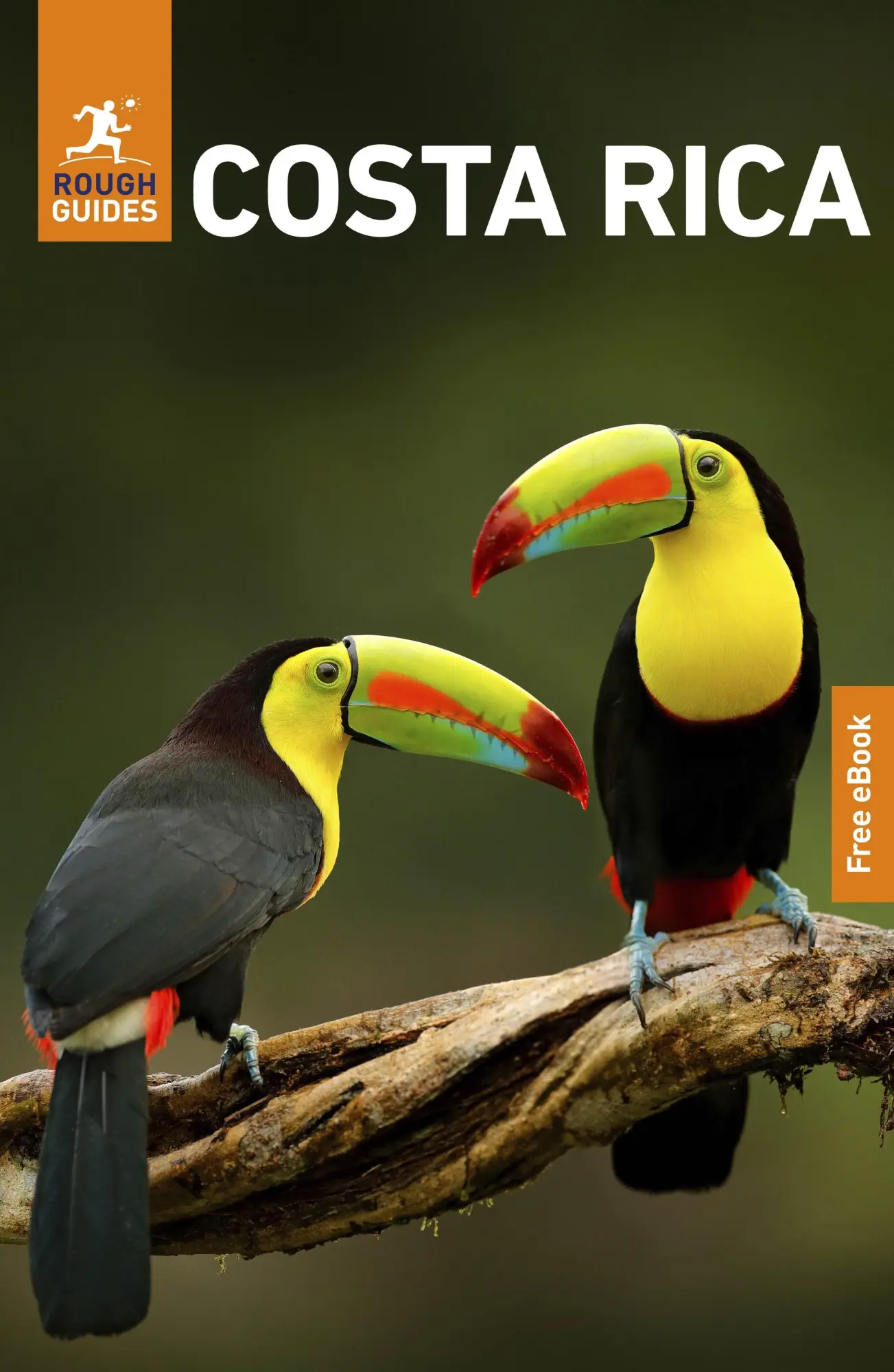 Cover: 9781835292389 | Rough Guides Costa Rica: Travel Guide with eBook | Paul Stafford
