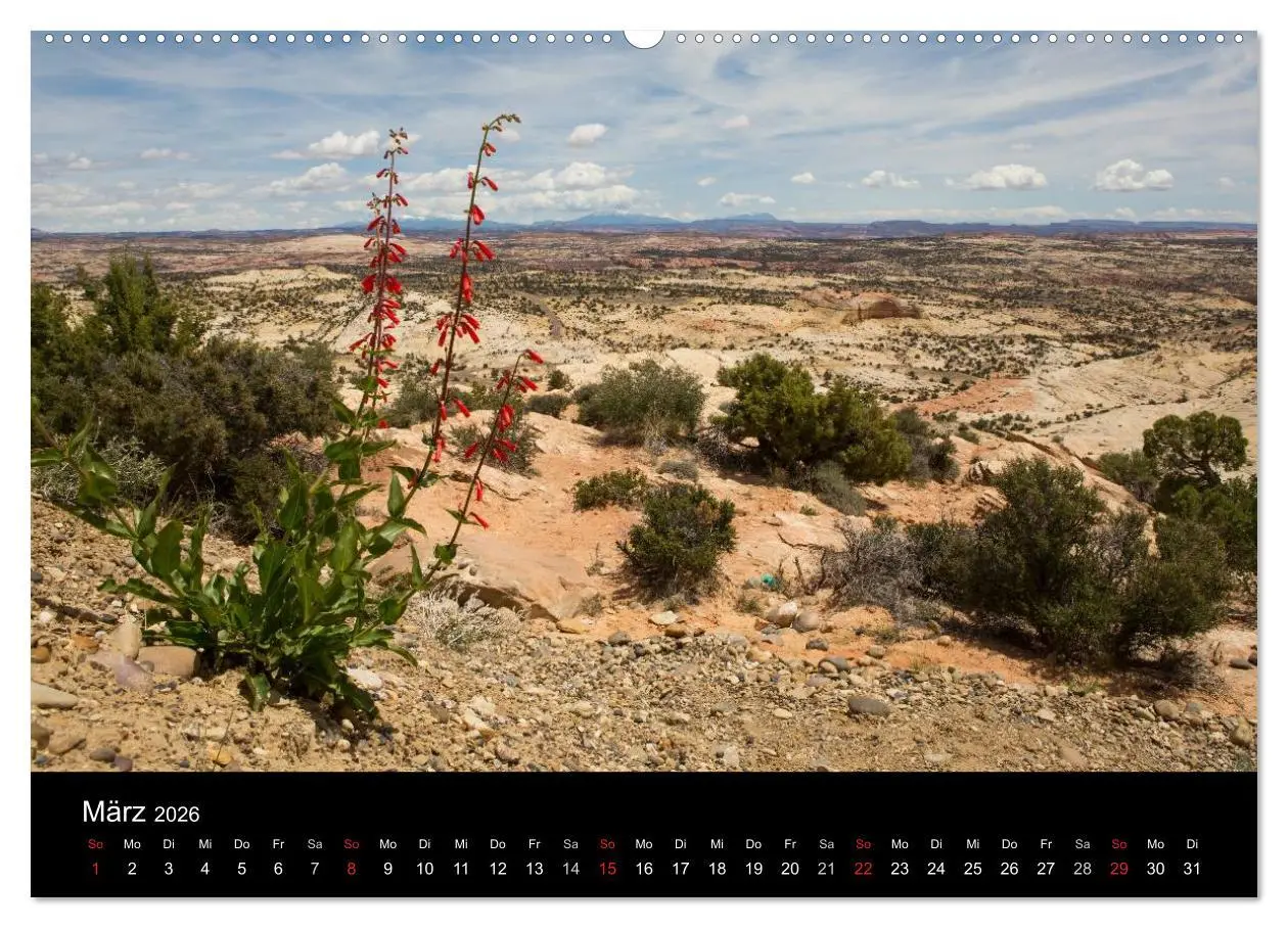Bild: 9783457982389 | Felslandschaften (Wandkalender 2026 DIN A2 quer), CALVENDO...
