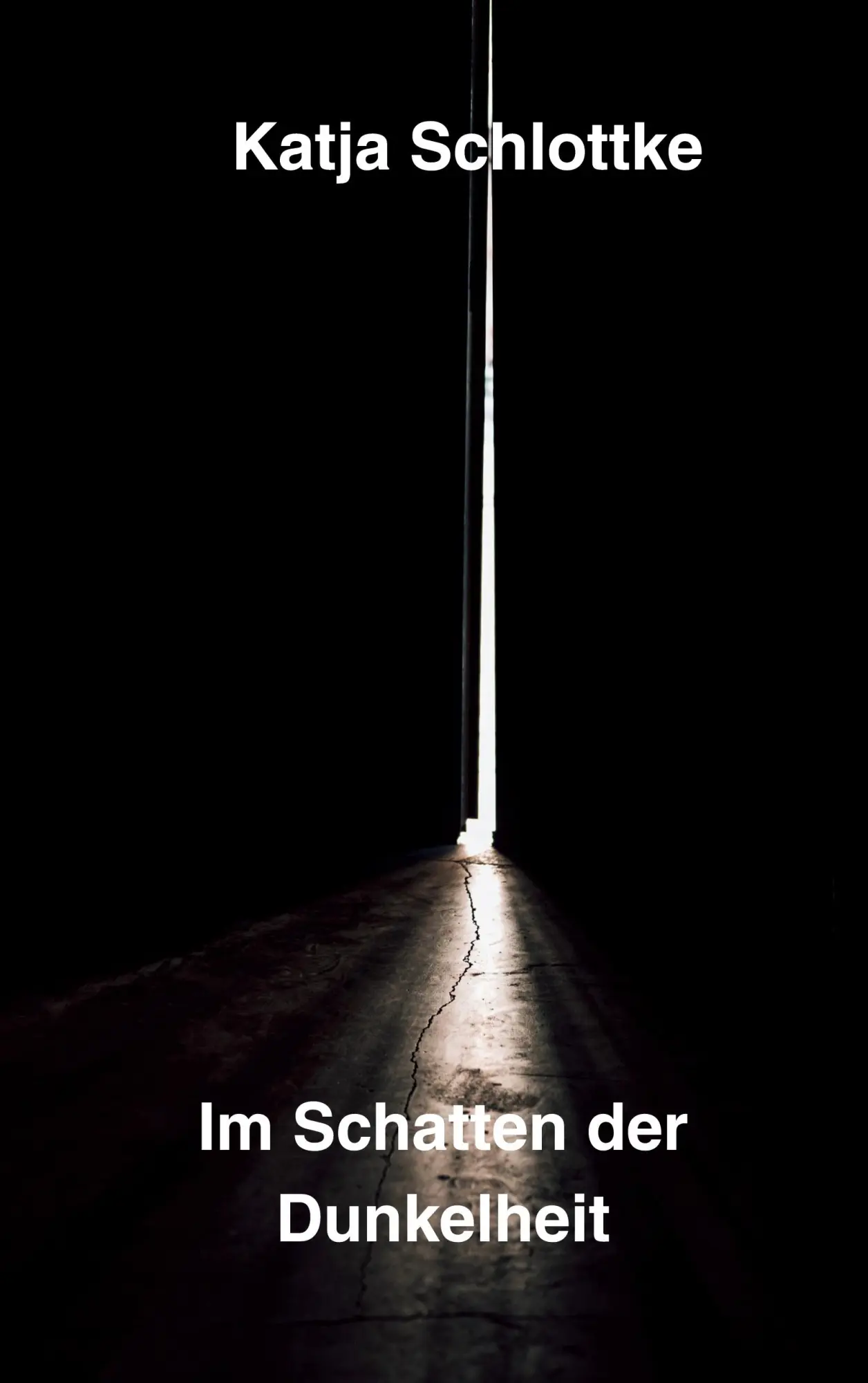 Cover: 9783695102389 | Im Schatten der Dunkelheit | Katja Schlottke | Taschenbuch | 102 S.