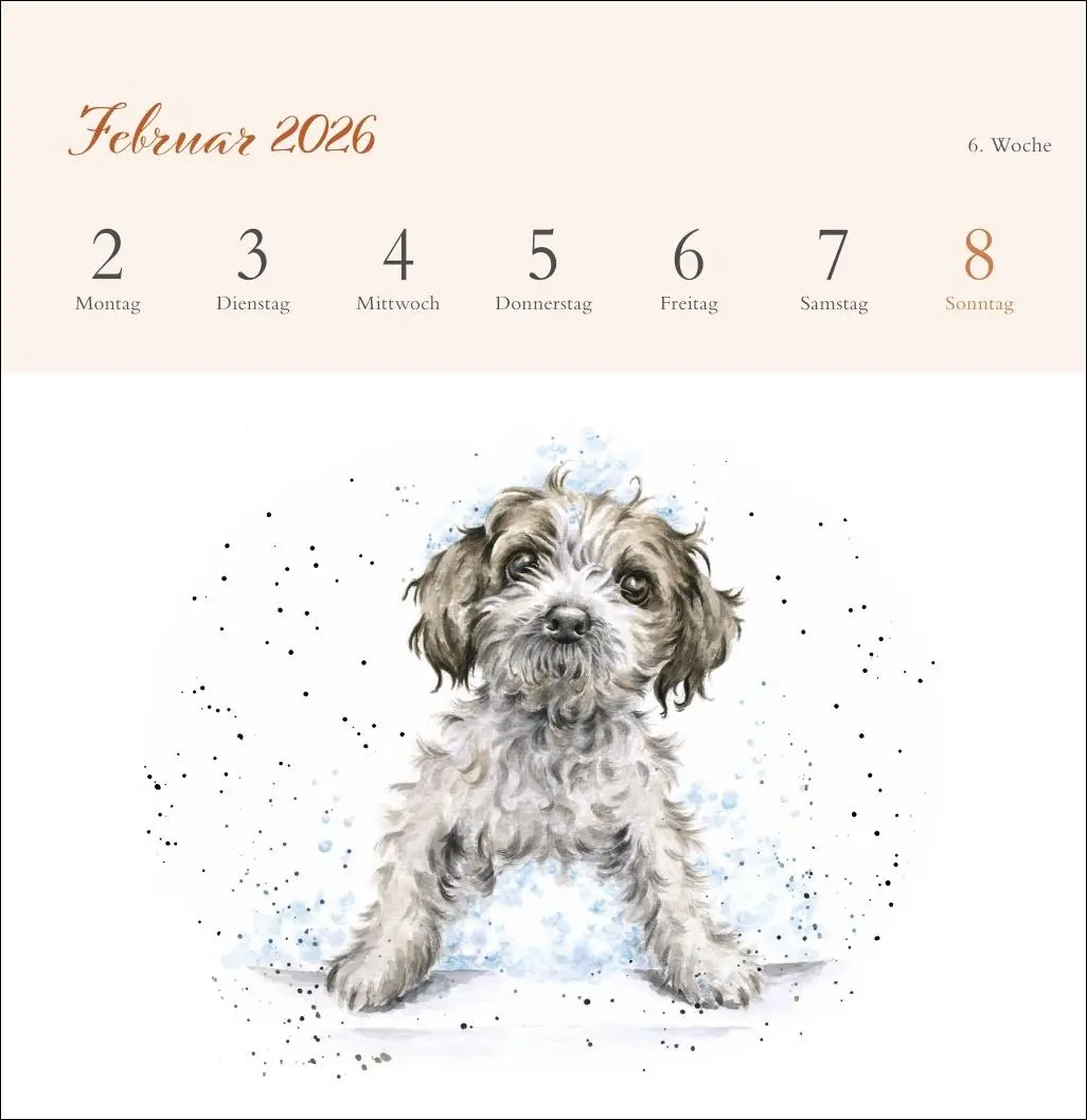 Bild: 9783756412389 | Hannah Dale: Happy Animals Premium-Postkartenkalender 2026 | Dale