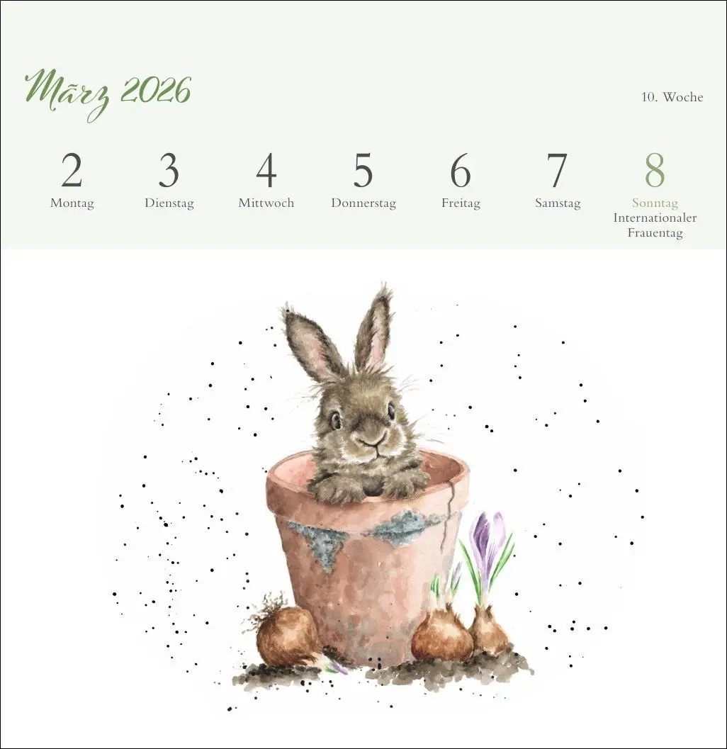 Bild: 9783756412389 | Hannah Dale: Happy Animals Premium-Postkartenkalender 2026 | Dale