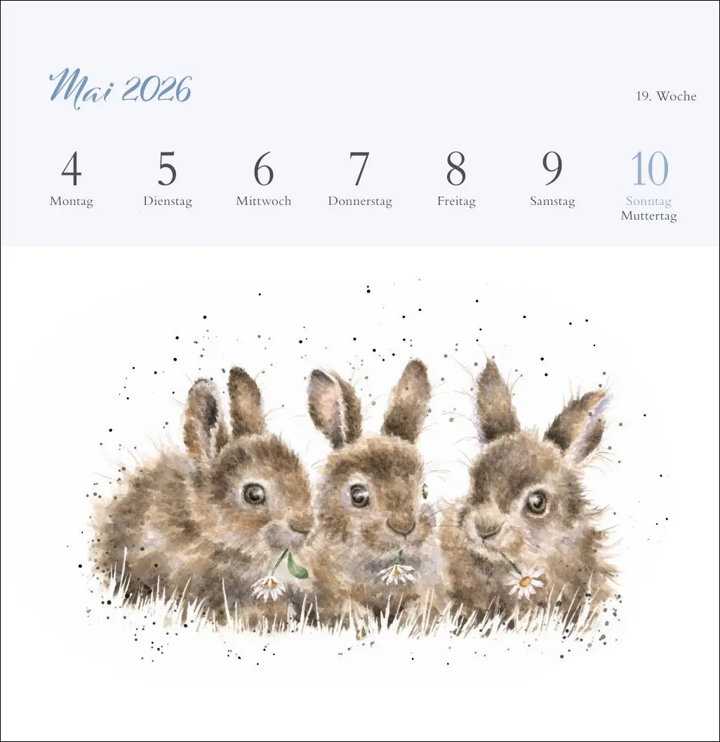Bild: 9783756412389 | Hannah Dale: Happy Animals Premium-Postkartenkalender 2026 | Dale