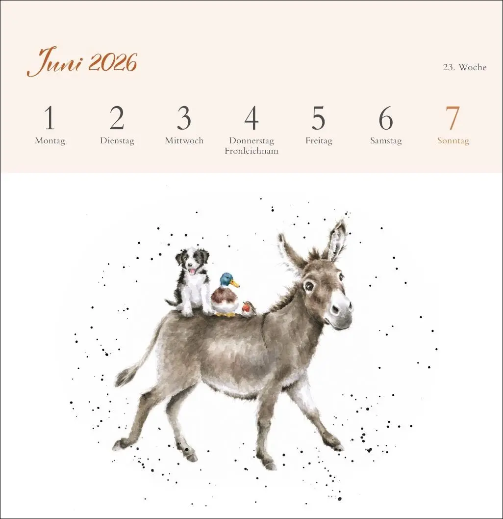 Bild: 9783756412389 | Hannah Dale: Happy Animals Premium-Postkartenkalender 2026 | Dale
