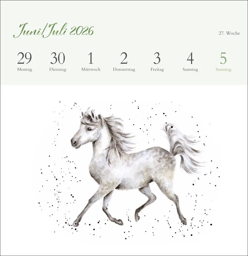Bild: 9783756412389 | Hannah Dale: Happy Animals Premium-Postkartenkalender 2026 | Dale
