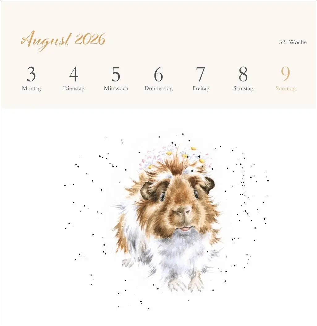 Bild: 9783756412389 | Hannah Dale: Happy Animals Premium-Postkartenkalender 2026 | Dale