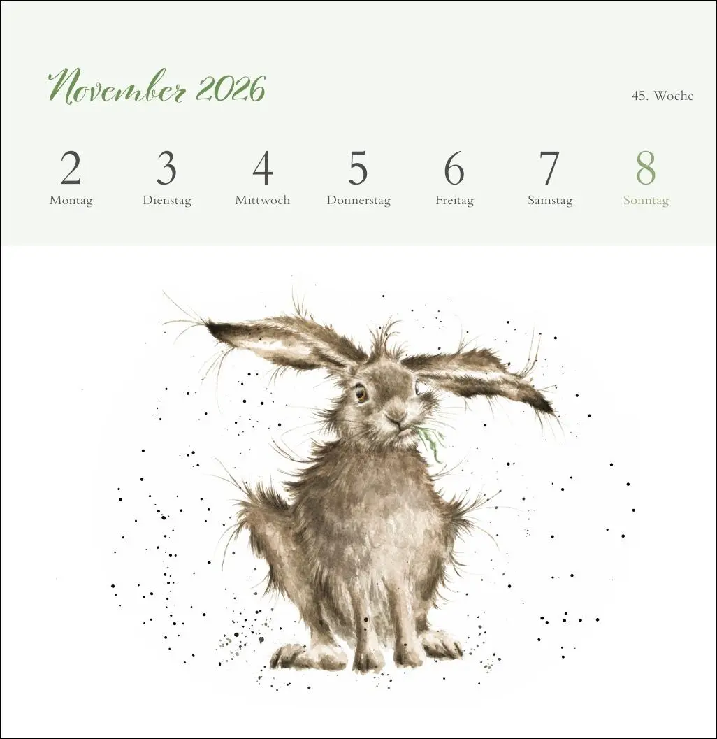 Bild: 9783756412389 | Hannah Dale: Happy Animals Premium-Postkartenkalender 2026 | Dale