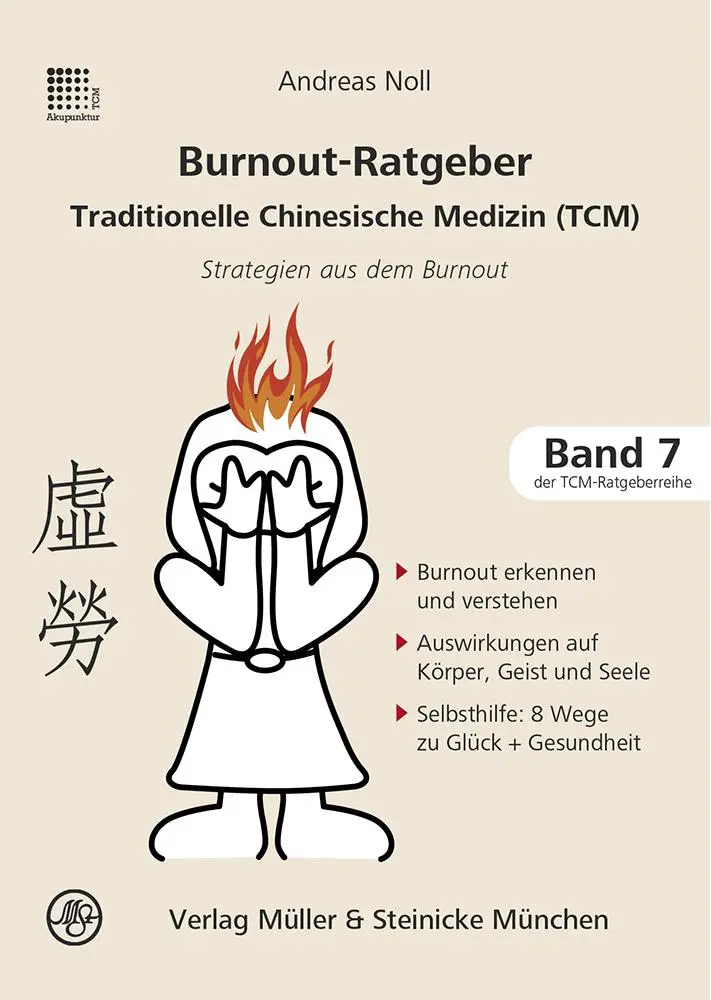 Cover: 9783875692389 | Burnout-Ratgeber | Strategien aus dem Burnout | Andreas Noll | Buch
